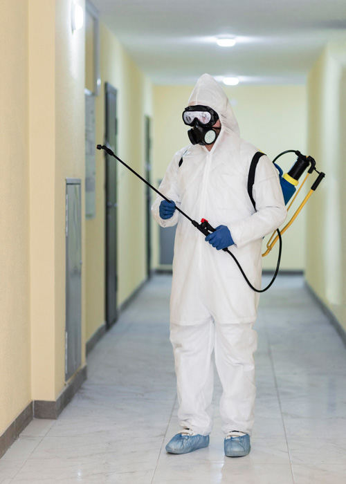 pest-control
